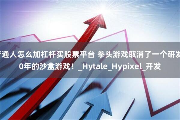 普通人怎么加杠杆买股票平台 拳头游戏取消了一个研发10年的沙盒游戏！_Hytale_Hypixel_开发