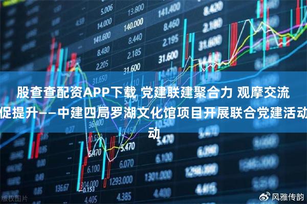 股查查配资APP下载 党建联建聚合力 观摩交流促提升——中建四局罗湖文化馆项目开展联合党建活动