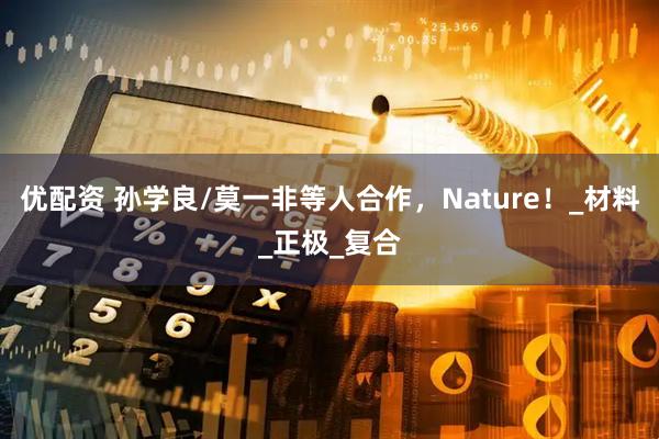优配资 孙学良/莫一非等人合作，Nature！_材料_正极_复合
